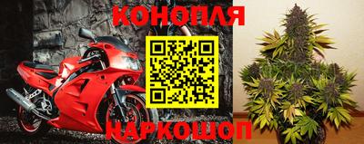 PSILOCYBIN Бугуруслан