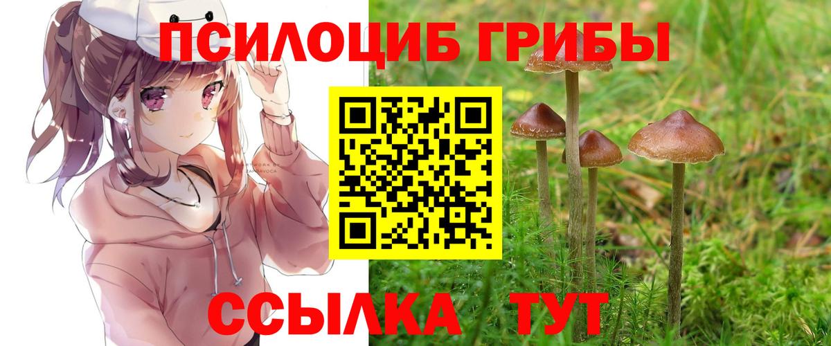Новоуральск  цена наркотик  Вход с VPN  Галлюциногенные грибы мицелий 